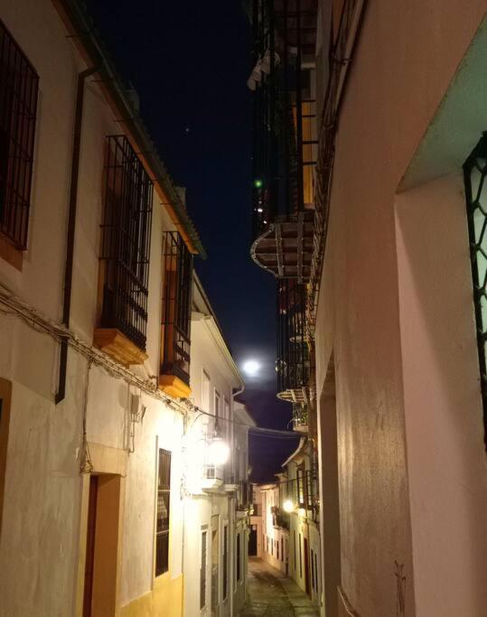 Precioso Loft En El Centro De Cordoba. Apartman Kültér fotó