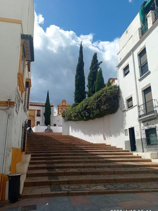 Precioso Loft En El Centro De Cordoba. Apartman Kültér fotó