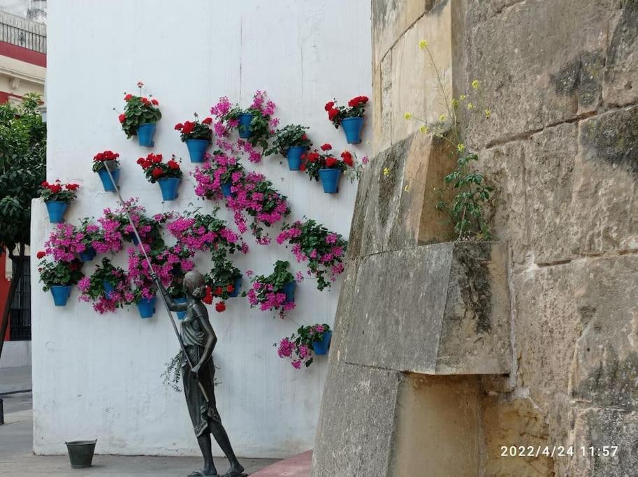 Precioso Loft En El Centro De Cordoba. Apartman Kültér fotó